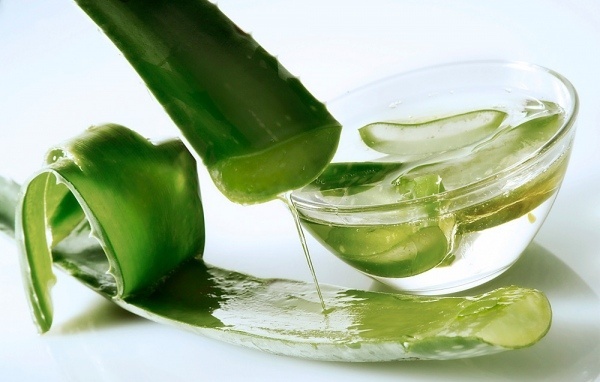 nha đam là thành phần để nấu dầu gội thảo dược vui